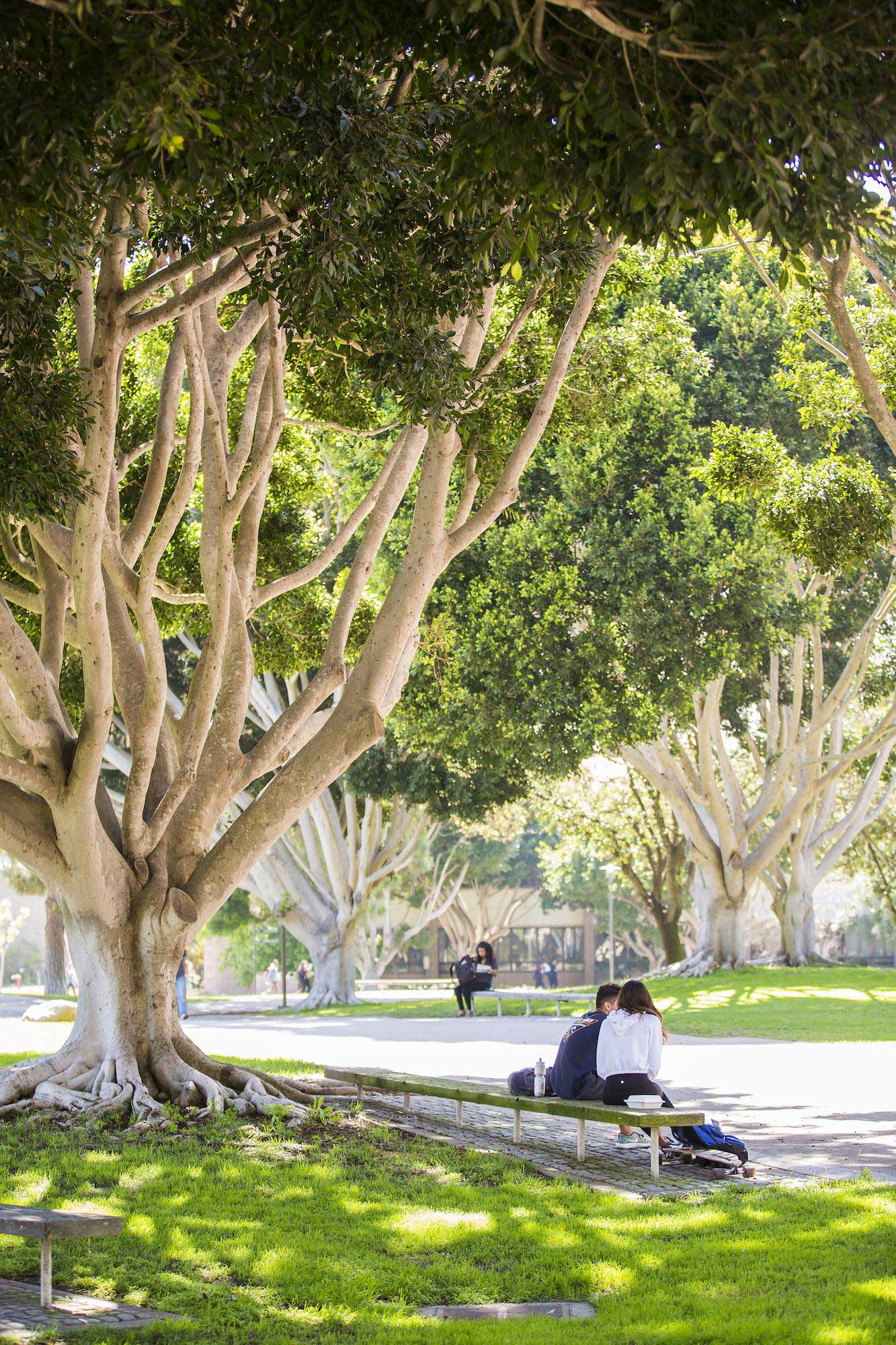 students sitting on Campus Bench